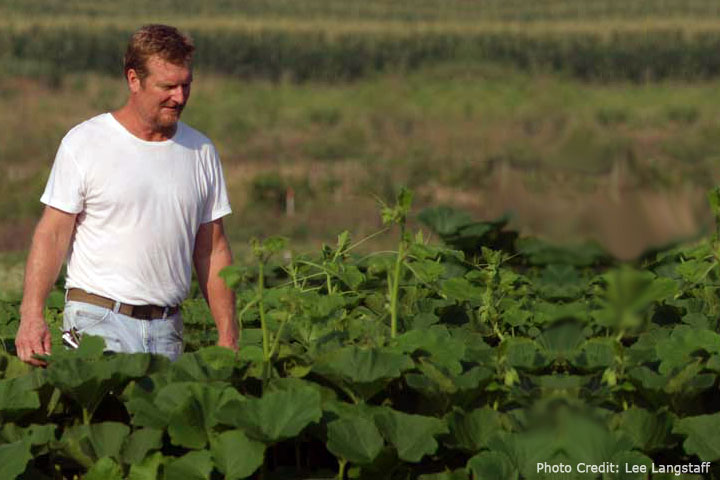 david walking in field