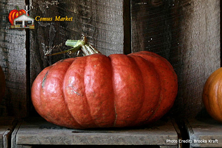 french pumpkin
